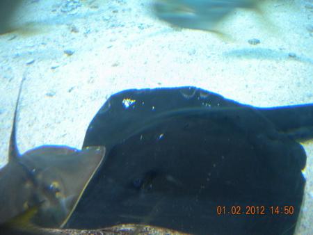 DSCN3553_resize.JPG