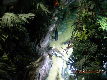 DSCN3517_resize.JPG