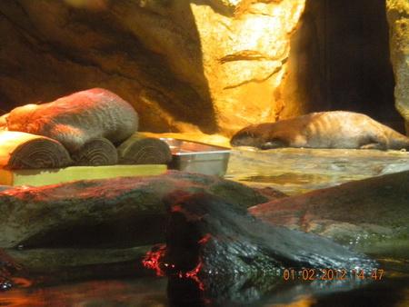 DSCN3542_resize.JPG