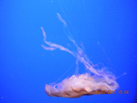DSCN3601_resize.JPG