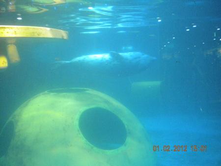 DSCN3590_resize.JPG