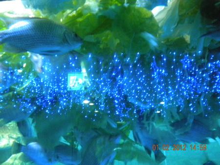 DSCN3584_resize.JPG