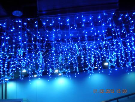 DSCN3589_resize.JPG