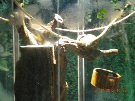 DSCN3516_resize.JPG