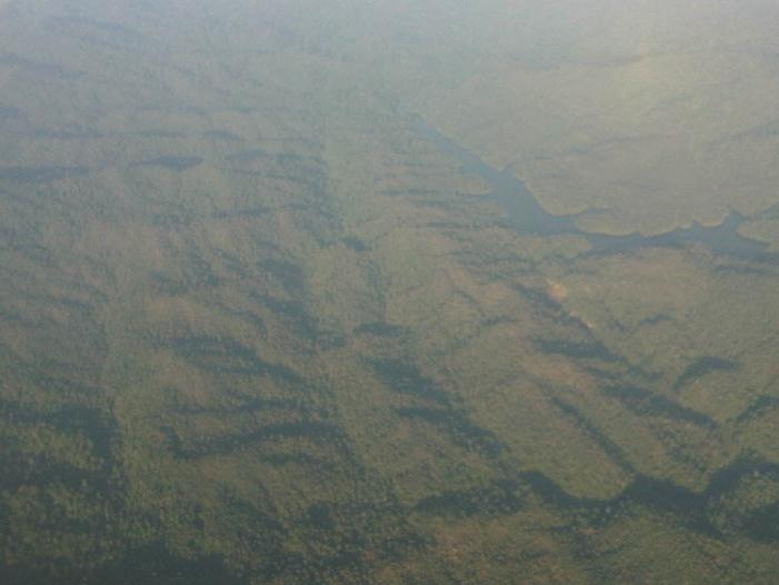 IMG04055-20120107-1635.jpg