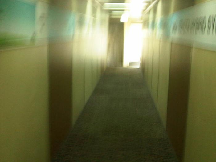 IMG04081-20120107-1654.jpg