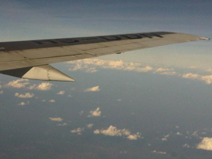 IMG04041-20120107-1622.jpg