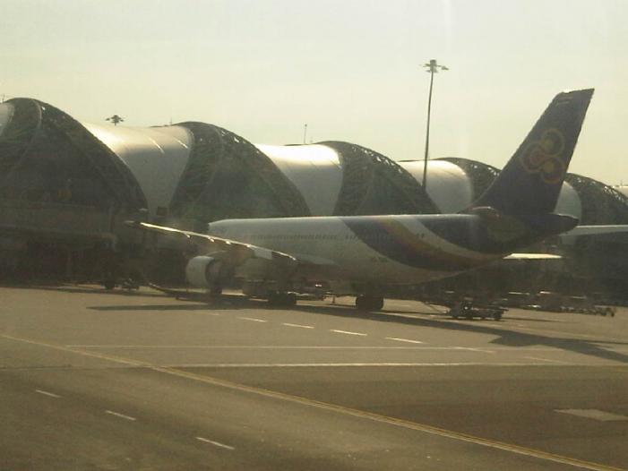 IMG03991-20120107-1534.jpg
