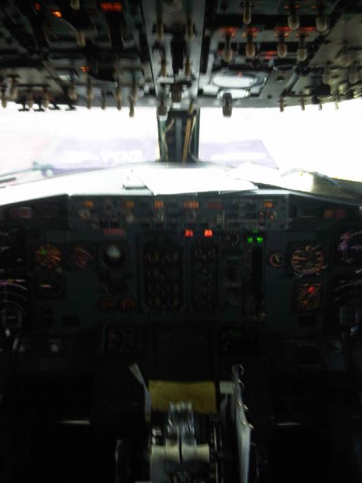 IMG04080-20120107-1654.jpg