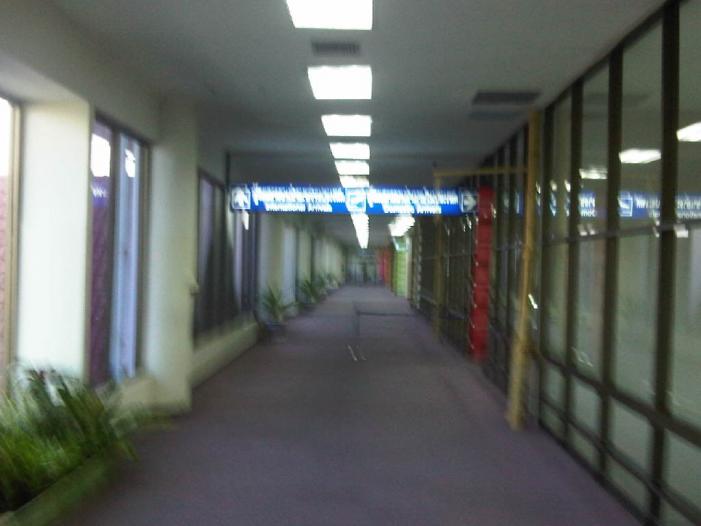 IMG04085-20120107-1655.jpg
