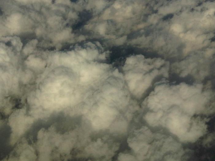 IMG04050-20120107-1628.jpg