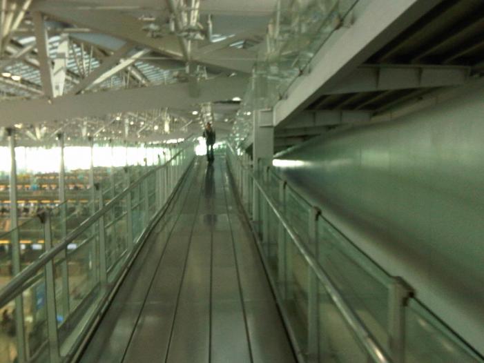 IMG03890-20120107-1312.jpg