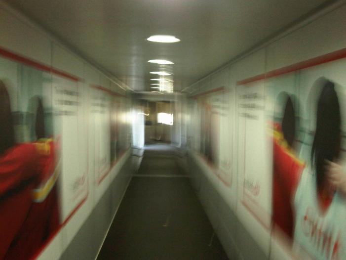 IMG03965-20120107-1517.jpg