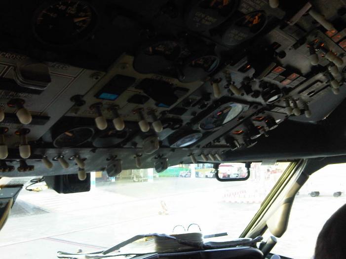 IMG04074-20120107-1653.jpg
