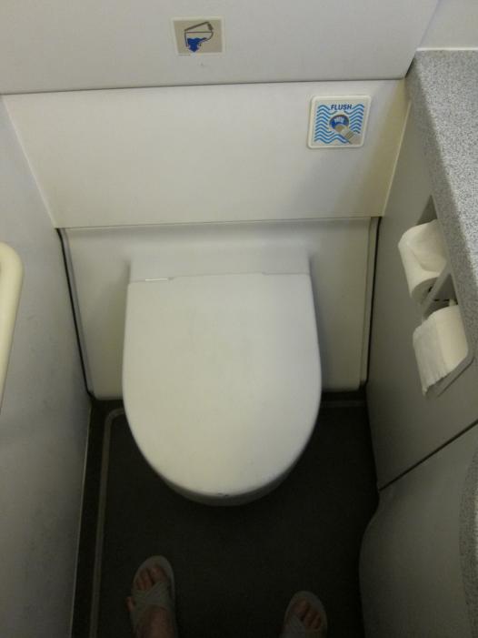 446 .jpg
