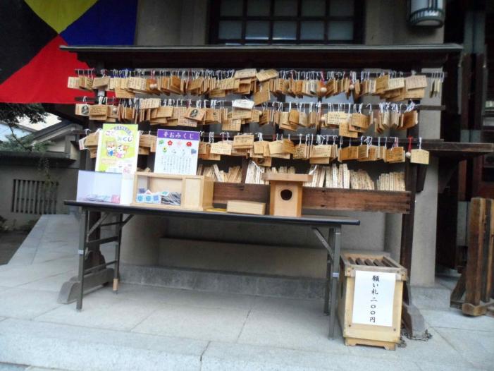 Japan X Korea_0313.JPG