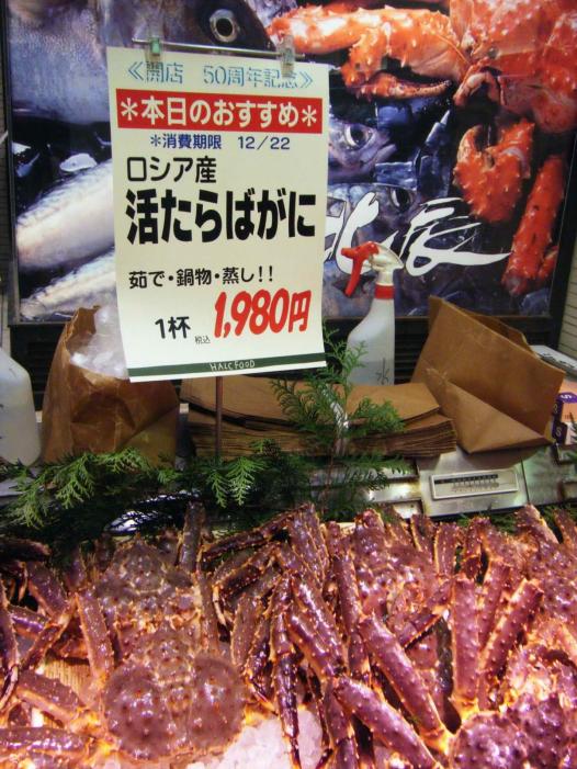 Japan X Korea_0978.JPG