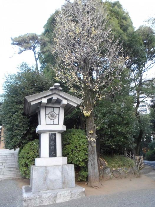 Japan X Korea_0300.JPG