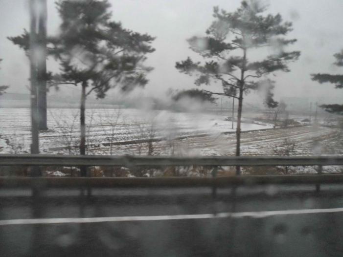 Japan X Korea_0187.JPG