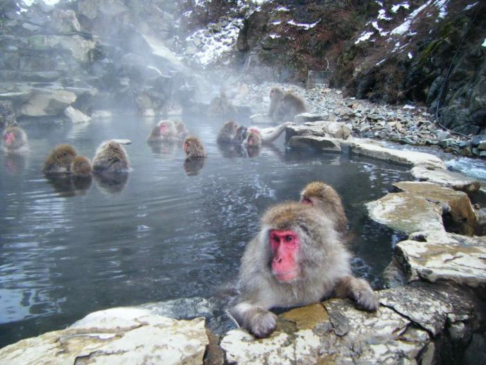 Japan X Korea_0486.JPG