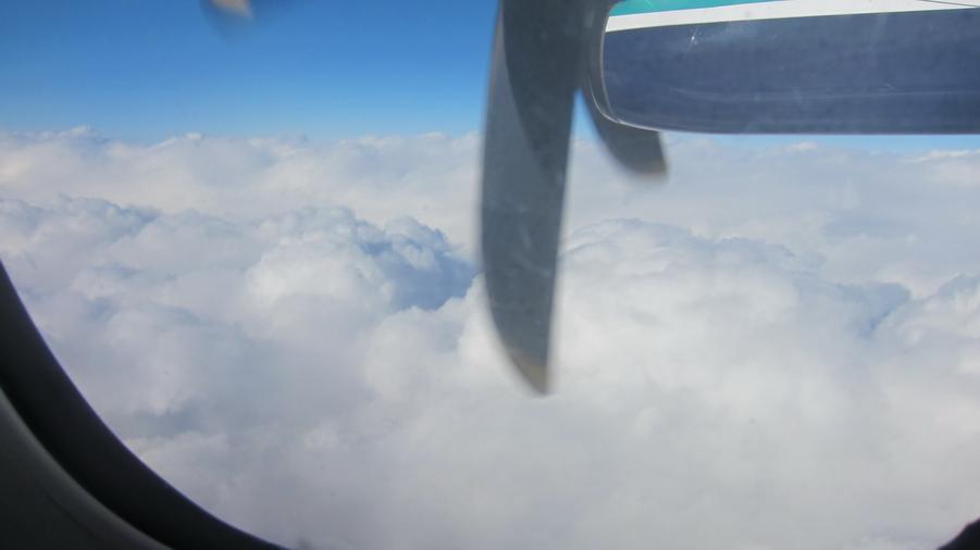 IMG_1110_resize.JPG