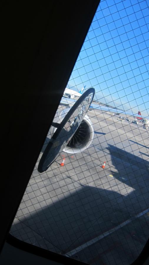 IMG_1301_resize.JPG