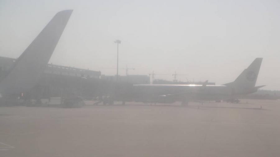 rsz_dsc02864.jpg