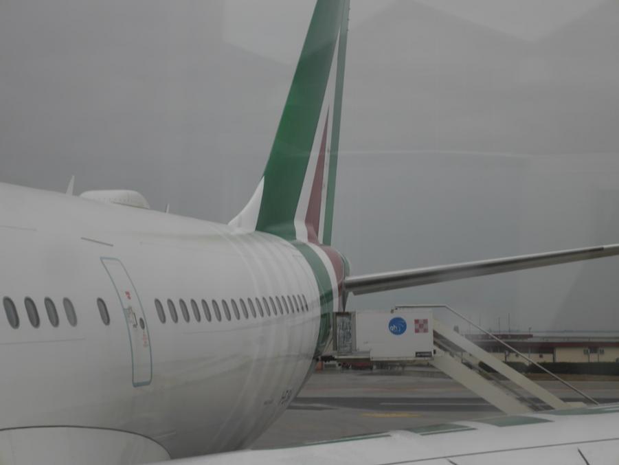 317.JPG