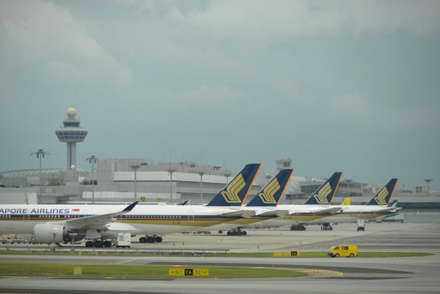 DSC_0466.JPG