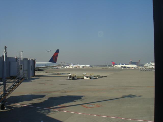 DSC02655.JPG