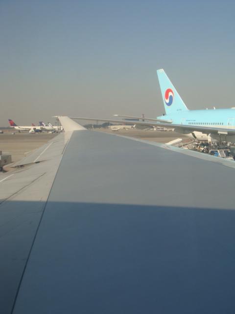 DSC02682.jpg