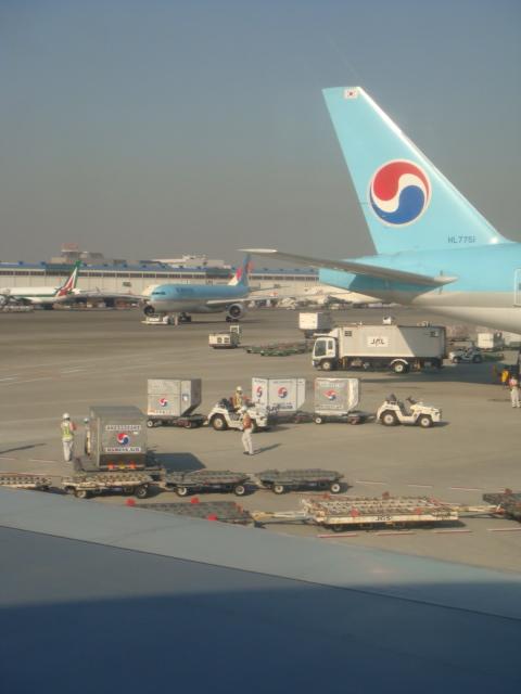 DSC02690.jpg