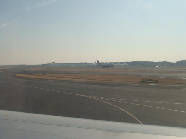 DSC02698.JPG