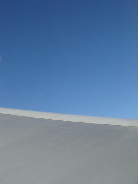 DSC02716.jpg