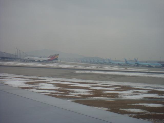 DSC02762.JPG