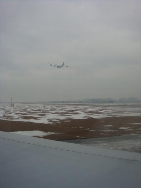 DSC02764.jpg