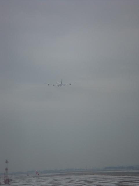 DSC02765.jpg