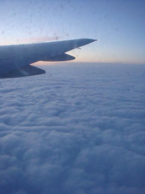 DSC02812.jpg
