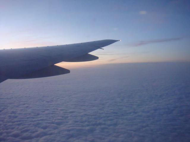 DSC02813.JPG