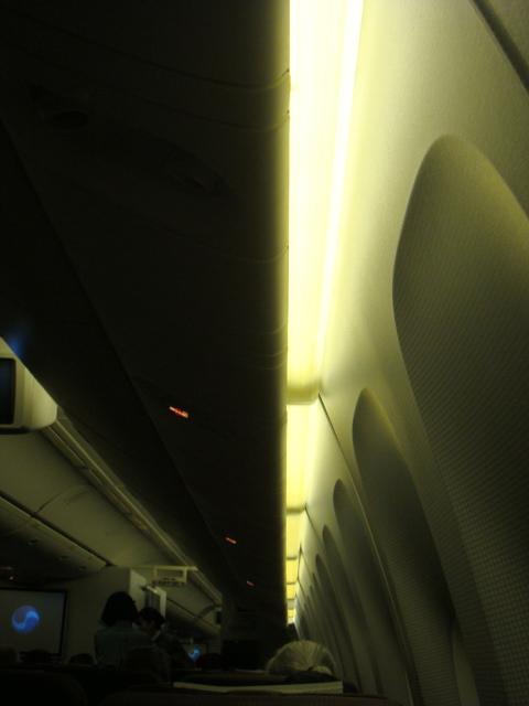 DSC02820.jpg