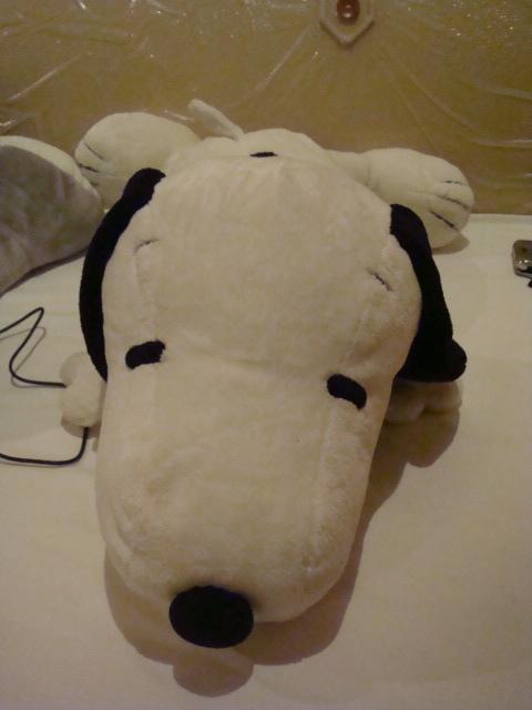 DSC02863.jpg
