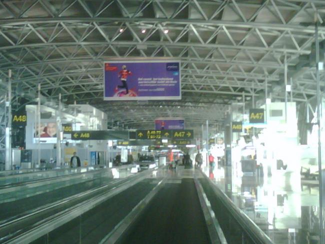 IMG00126-20100105-1346.jpg