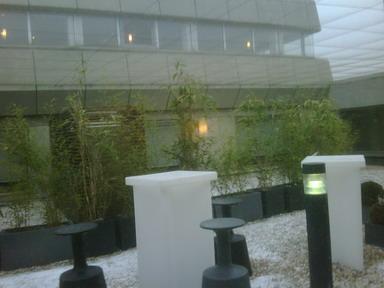 IMG00284-20100110-1028.jpg