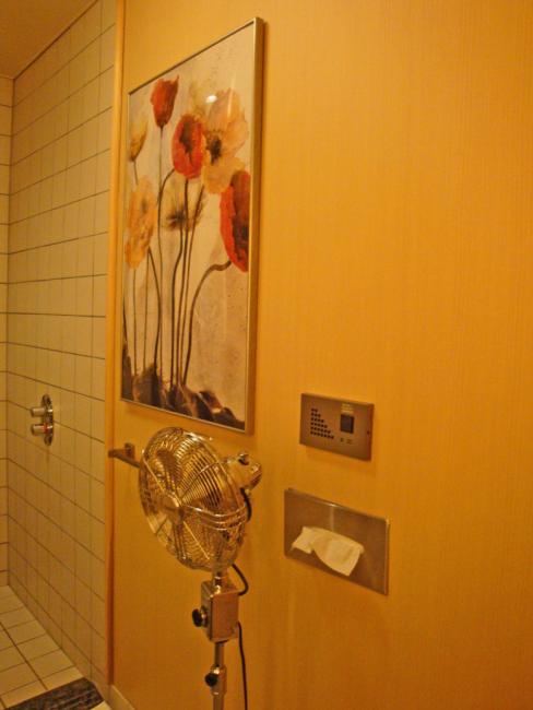 DSC08563.JPG