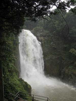 tn_IMG_0355.JPG