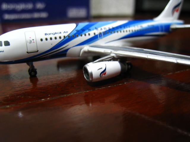 IMG_6255_resize.JPG