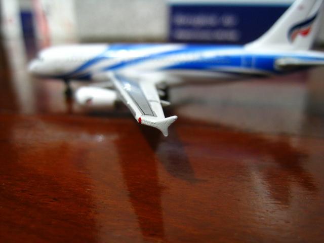 IMG_6258_resize.JPG