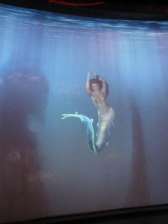 IMG_1377.JPG