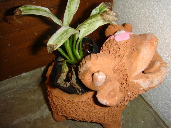 DSC01603.JPG