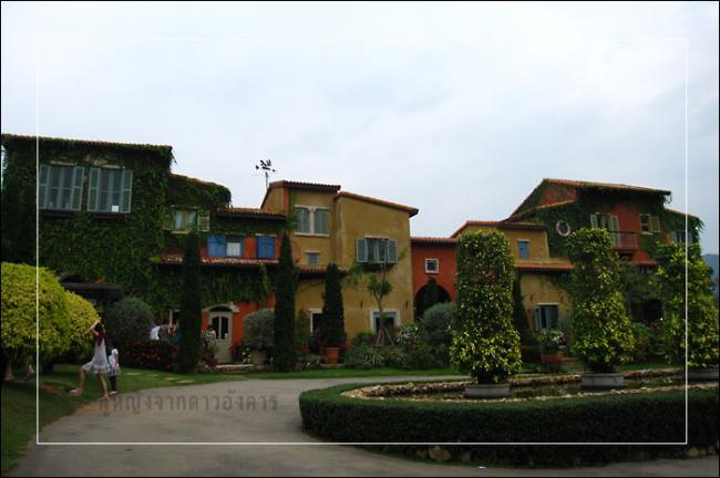 pp002.jpg